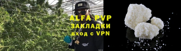 крисы Арсеньев