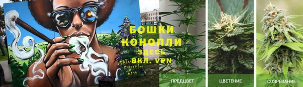 Альфа ПВП Аркадак