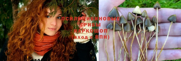 крисы Арсеньев