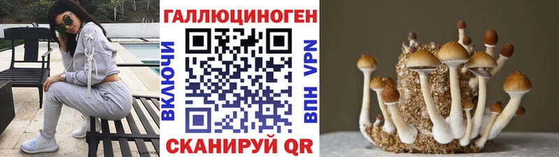 купить наркотик  Обоянь  Галлюциногенные грибы мицелий 